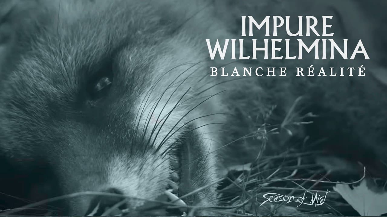 Impure Wilhelmina - Blanche réalité (Official Music Video)